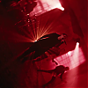 amyleefans04771.png