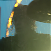 amyleefans04801.png