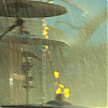 amyleefans04846.png