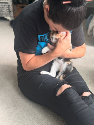 New kitty cake ❤️
