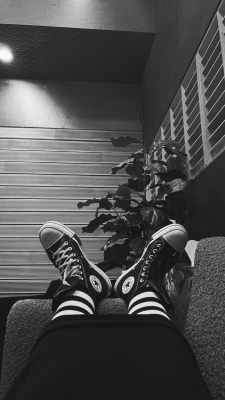 Keywords: amy lee;evanescence;ev5;studio